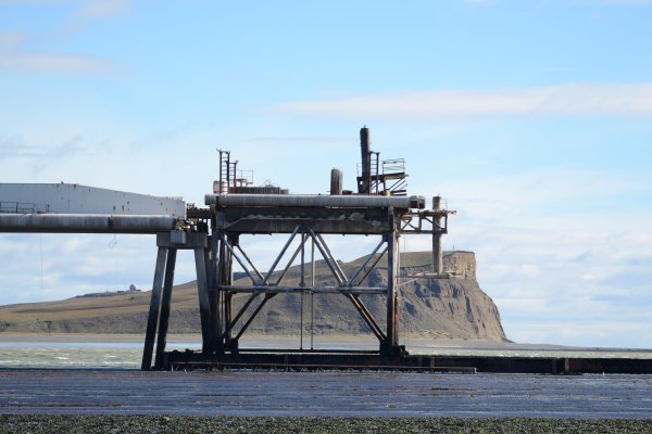 Isla de los Lobos - Río Grande