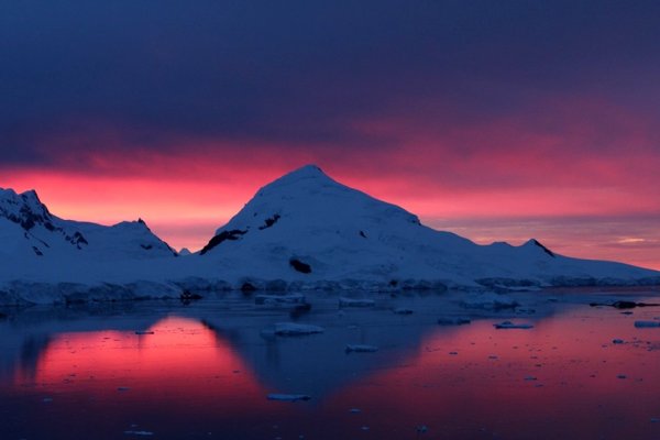Las mejores fotos de la Campaña Antártica 2022