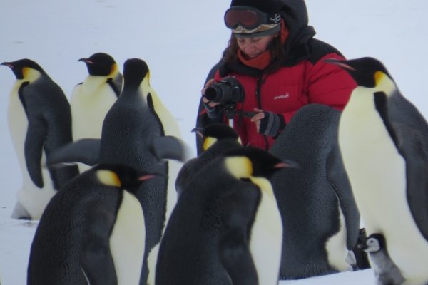 Las mejores fotos de la Campaña Antártica 2022