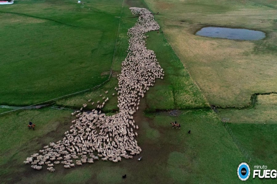 ¡¡¡Feliz 101 aniversario querida ciudad de Río Gra
