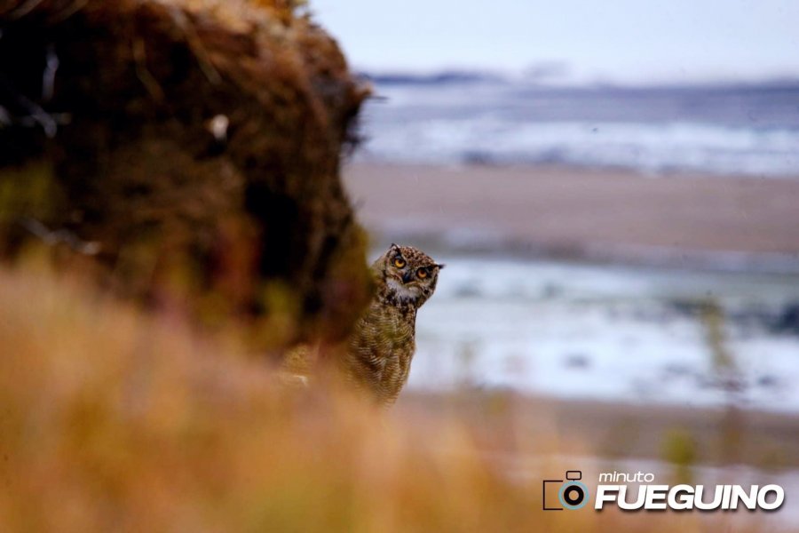 ¡¡¡Feliz 101 aniversario querida ciudad de Río Gra