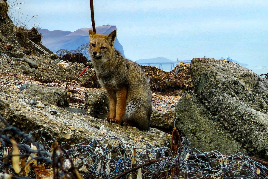 Río Grande Tierra del Fuego, Antártida e Islas del