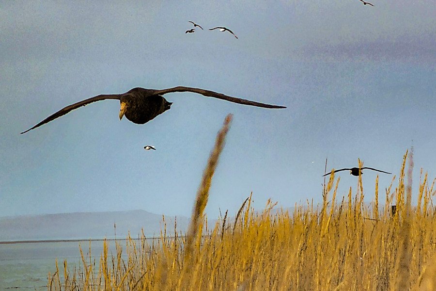 Río Grande Tierra del Fuego, Antártida e Islas del