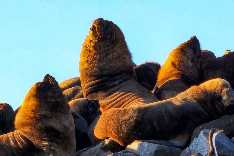 Río Grande Tierra del Fuego, Antártida e Islas del