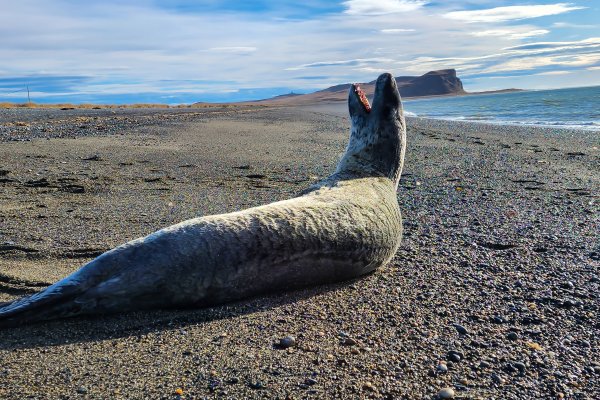 Río Grande Tierra del Fuego, Antártida e Islas del Atlántico Sur