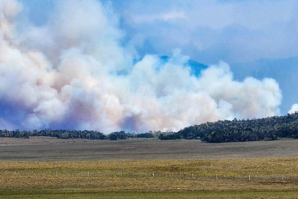 Incendio en la Reserva Corazón de la Isla