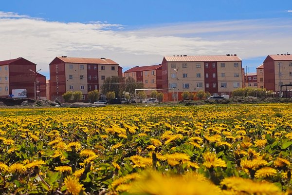 Río Grande, el pueblo de las flores amarillas