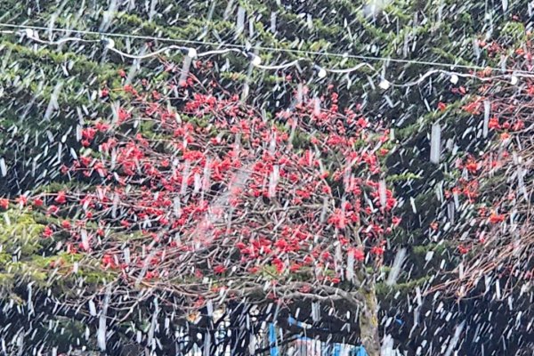 Primeros copos de nieve en Río Grande, 26 de abril