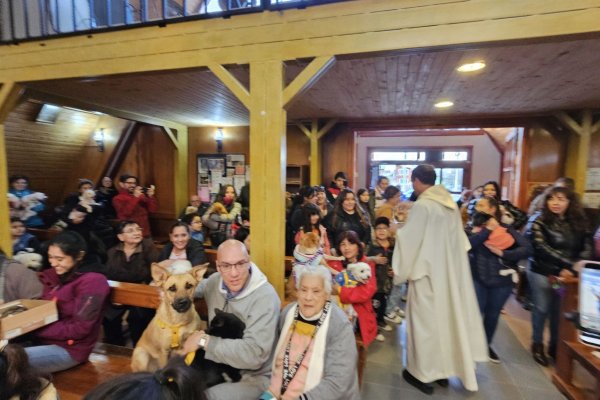 Bendición de mascotas en la Parroquia Sagrada Familia