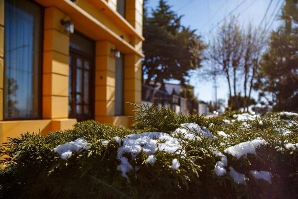 Primavera en el fin del mundo