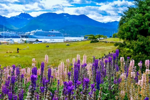 Verano en el Fin del Mundo