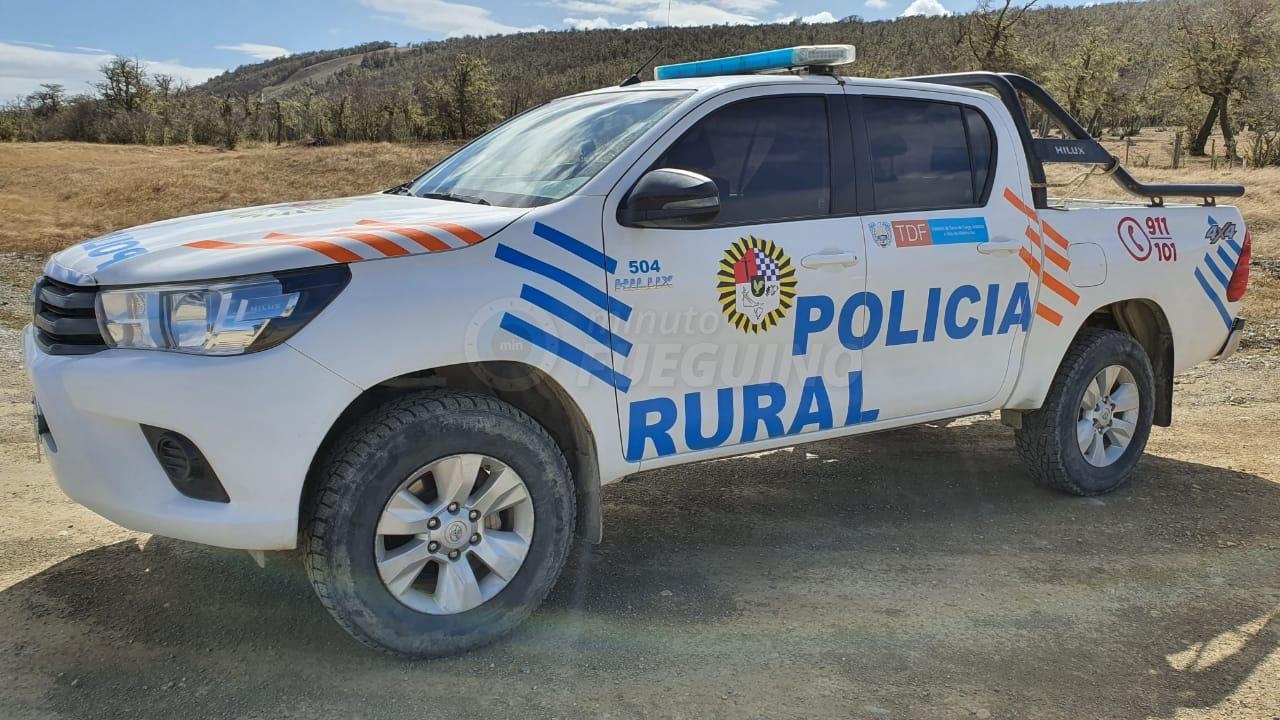 Investigan la muerte intencional de un bovino en una estancia