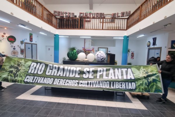 “Nos trataron de narcos”, un grupo de Concejales repudió el pedido para la habilitación de venta de esquejes y semillas en los Growshop
