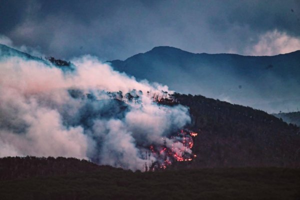 “La provincia debe pedir ayuda internacional urgente”, afirmó Von der Thusen