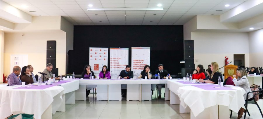 Gobierno realizó la 2° Asamblea Ordinaria  de la Comisión Provincial Coordinadora para la discapacidad