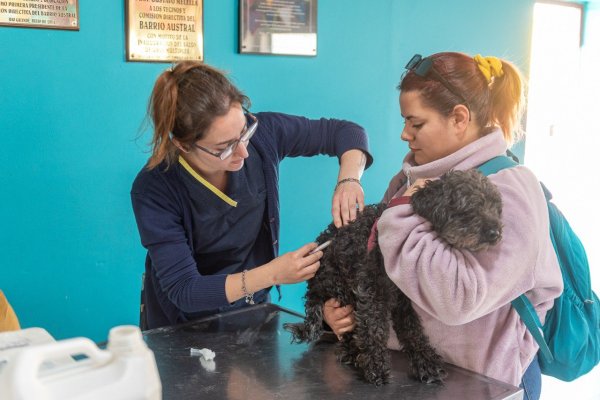 Cinco días de vacunación contra la rabia en Ushuaia