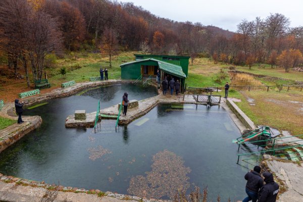 Termas sin habilitar, pero llenas para pocos: Harrington anuncio que 