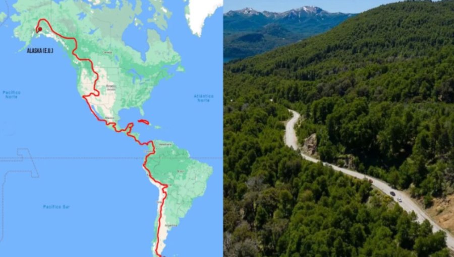 Impulsan una “Ruta Verde” para unir Ushuaia con Alaska mediante un biocorredor de árboles nativos