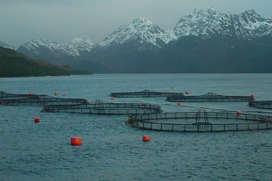 Tierra del Fuego avanza en su diversificación: Se aprobó ley que ...