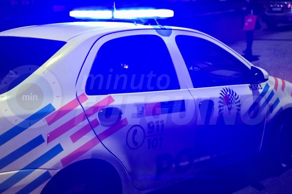 Allanamientos por un robo en Ushuaia terminaron con tres detenidos y el secuestro de plantas de marihuana