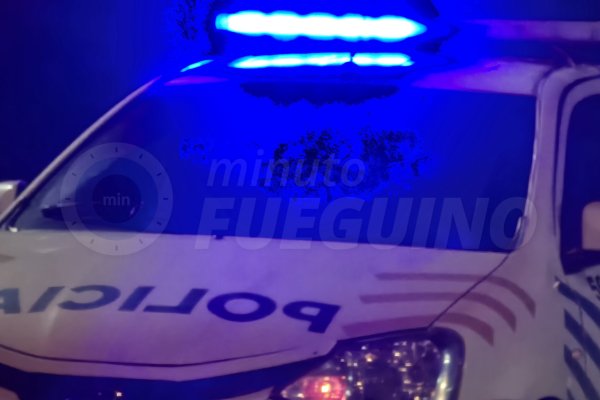 Detuvieron a una mujer tras intentar sustraer mercadería de un comercio