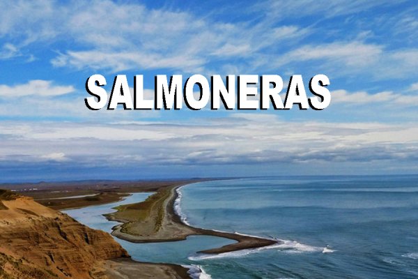 Salmones en tierra: el proyecto que busca instalarse en Río Grande