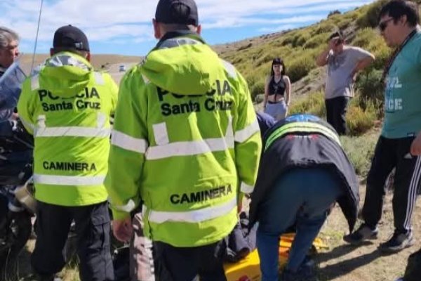 Viajaba rumbo a Ushuaia y chocó con un guanaco en la Ruta 3: resultó herido y fue hospitalizado