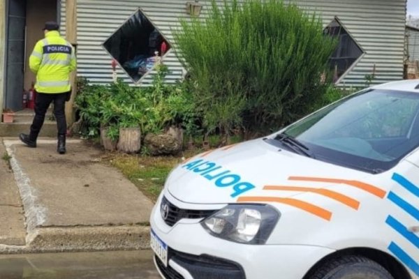 Recuperan elementos tras un allanamiento en Monte Independencia