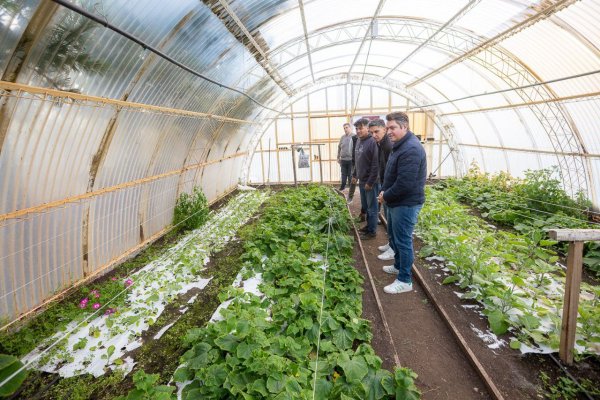 Río Grande impulsa la primera 'Chacra Agroexperimental Municipal' de Tierra del Fuego