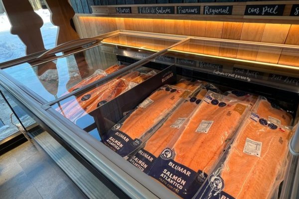 En Punta Arenas ya comen salmón en las escuelas, en Tierra del Fuego aún se discute