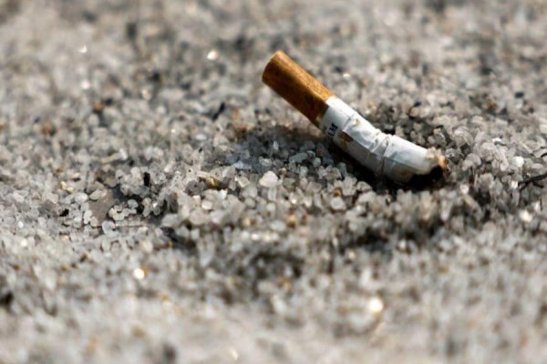 Colillas de cigarrillo: cómo impactan en el medioambiente después de 10 años