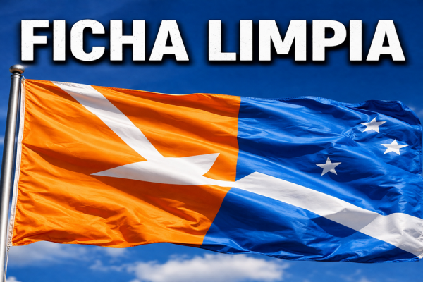 Ficha Limpia: presentan un proyecto para endurecer requisitos a candidatos y funcionarios