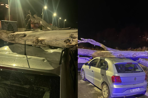Árbol cayó sobre dos vehículos por el fuerte viento en Ushuaia