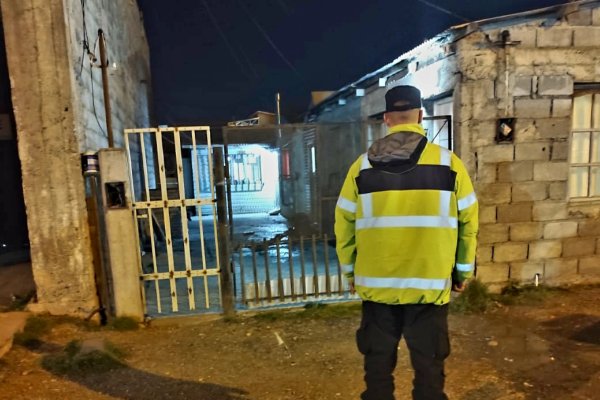 Buscaban una bicicleta y encontraron plantas de marihuana