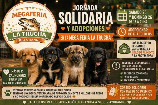 Cachorros en adopción este fin de semana en la Mega Feria La Trucha