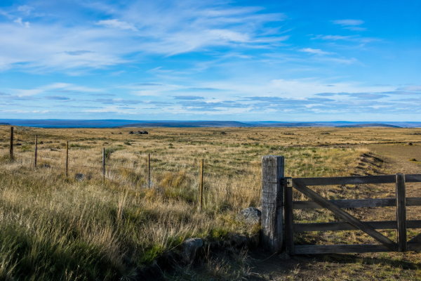 Senado avanza con un proyecto para que las provincias definan la venta de tierras a extranjeros