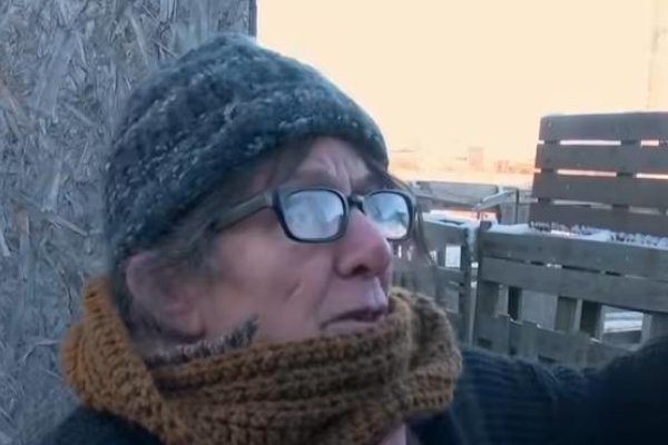 &ldquo;No voy a abandonar a mis perros&rdquo;: Josefina busca ayuda para mudarse con sus 10 animales