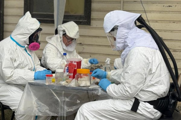 Confirmaron que la variante de hantavirus vinculada al MV Hondius no fue detectada en Ushuaia