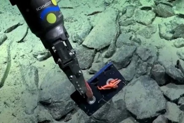 Un robot submarino registró por primera vez basura humana en las profundidades del Mar Argentino