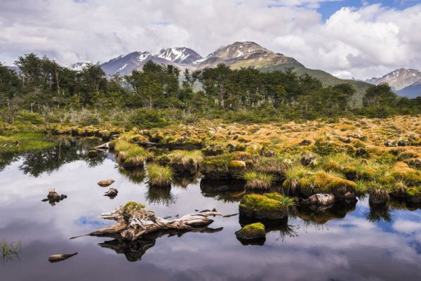 Maneken pidió revisar el convenio sobre la Reserva Alarkén antes de su aprobación