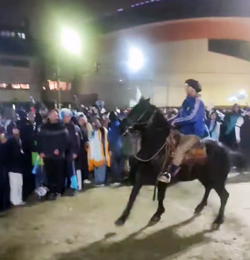 Aprehendieron a un hombre que circulaba a caballo y atacó a policías en Ushuaia