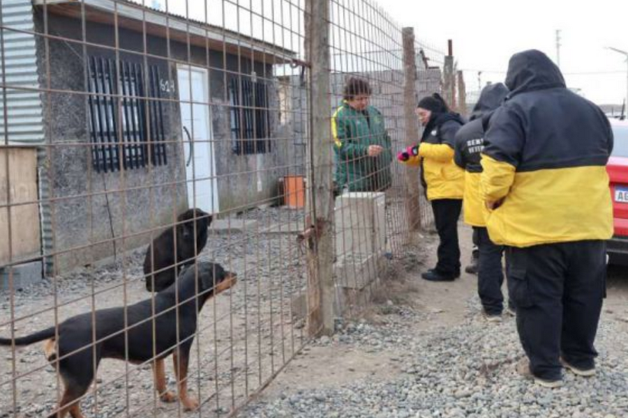 Servicios veterinarios recorrieron barrios de Río Grande con chipeo, castraciones y controles