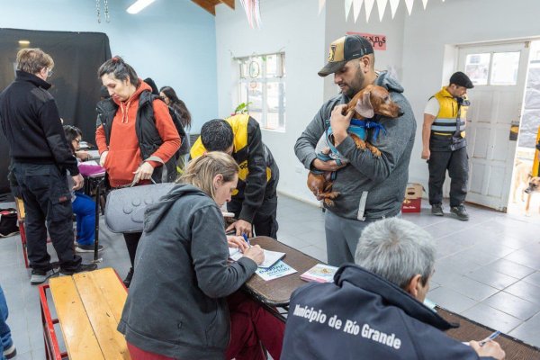 Este sábado llega una nueva edición de vacunación, chipeo y adopción responsable