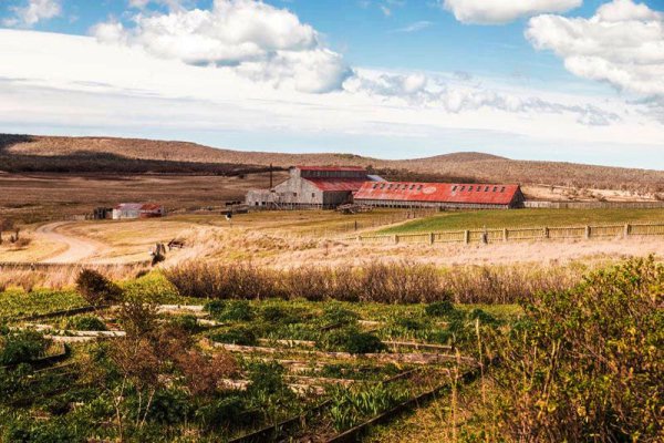La Provincia actualizó la valuación fiscal de tierras rurales después de 14 años