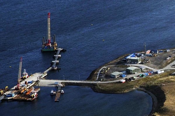 Coto cuestionó a Greenpeace por su silencio ante el proyecto de salmoneras en Malvinas