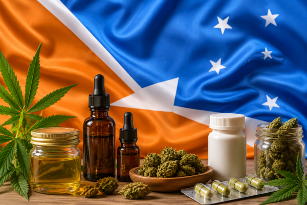Cannabis en Tierra del Fuego: avanzan las políticas productivas pero sigue pendiente el registro provincial