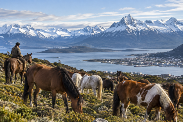 Buscan voluntarios para vivir gratis en Ushuaia y cuidar 30 caballos